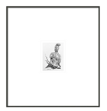 Load image into Gallery viewer, Kinky French - Bbk Original Art Fine Print